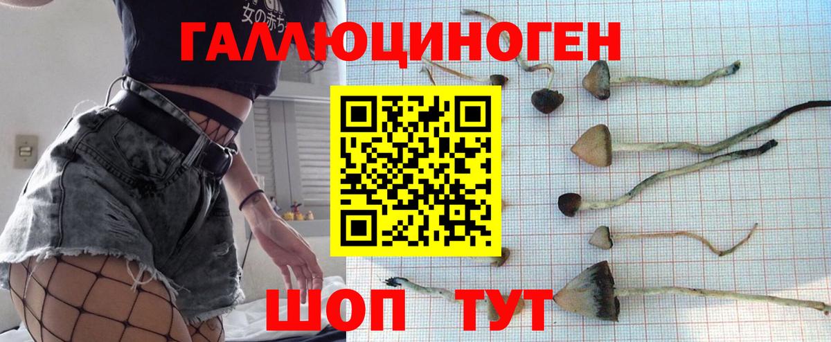 Псилоцибиновые грибы Cubensis Челябинск
